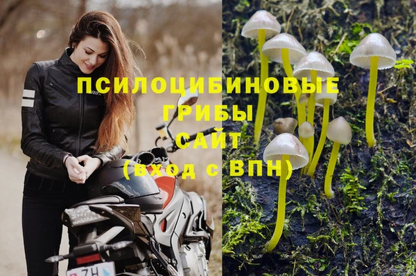 дмт Балабаново