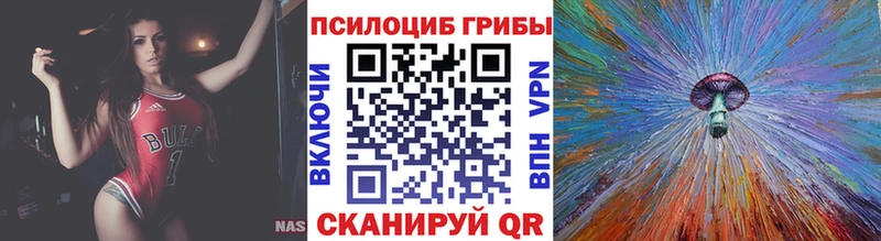 Псилоцибиновые грибы Psilocybine cubensis darknet как зайти Новоалтайск