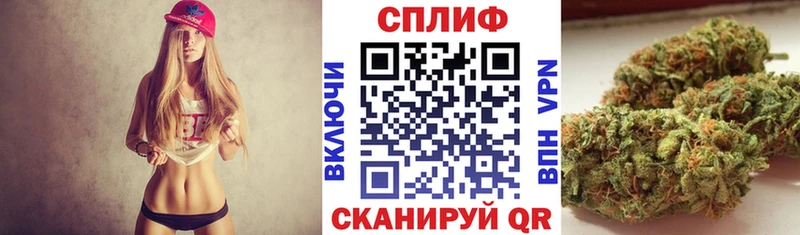 где продают наркотики  Новоалтайск  Бошки марихуана THC 21% 